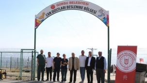Hayvan dostu şehir; Gürsu