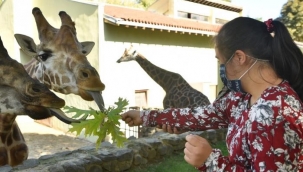 Hayvanat Bahçesi’nin özel konukları