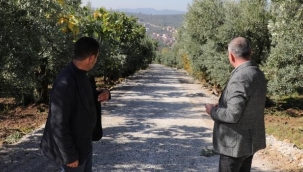 Katırlı ve Muratoba arasına 2,5 kilometrelik yeni yol