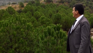 Osmangazi’de ‘yeşil’ dönüşüm