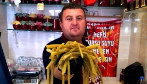 Pezik turşusunu