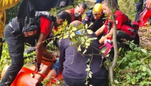 Sahibinin gezintiye çıkardığı köpek, kayıp yaşlı adamı buldu