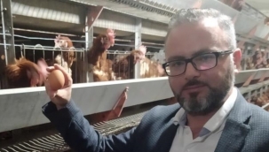 Uzmanlar taze yumurtanın formülünü anlattı