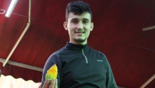 Yaraları iyileştiren böyle 'kudret'li ilaç yok