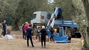 Zeytinlikte 2 lahit bulundu