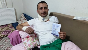 Bir ayı saldırısı da Bursa'dan