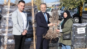 Büyükşehir'den çiftçilere 5 milyon fide