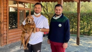 Can dosta sıcak yuva