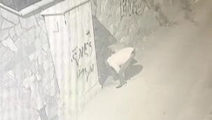 Direğe zincirle bağlı olan çöp kovasını çaldı