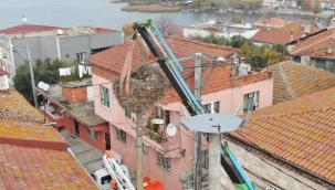 Gölyazı'da leylek yuvasına kentsel dönüşüm