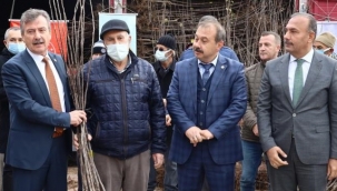 Harmancık ayva ile markalaşacak