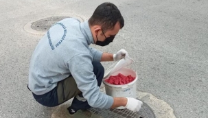 Haşerelere karşı mücadele