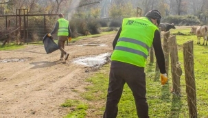 Karacabey’de Longoz temizliği
