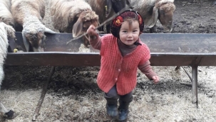 Küçük Müslüme'den acı haber 10.günde geldi