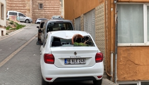Lodos Bursa'yı uçurdu