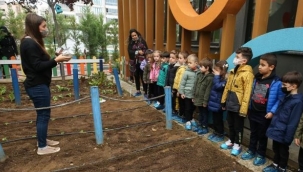 Minikler fide ve tohumları toprakla buluşturdu