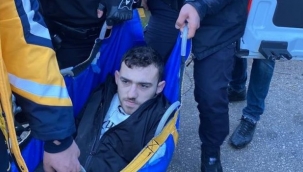 Ormanlık alanda dehşet...