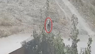 Vicdanlı hırsızlar