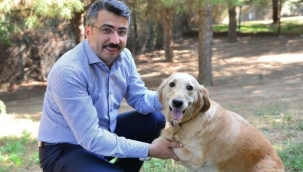 Yıldırım’ın sessiz sâkinleri güvende