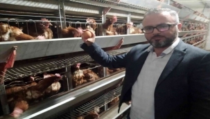 Yumurta üreticileri tedbir alınmazsa batacak