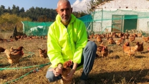 Yumurta üreticisi Bakan Pakdemirli’den destek istiyor