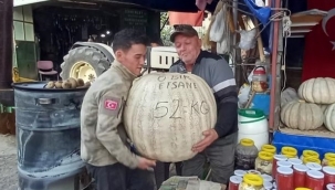 52 kiloluk dev kabak görenleri şaşırtıyor