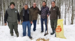 Avcılar yabanî hayvanlar için ormana yem bıraktı