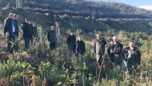 Bursa’da defne üretimine yakın markaj