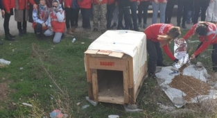 Fabrika atıkları can dostlarına yuva oluyor
