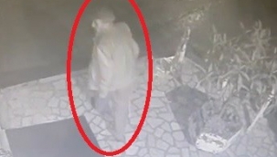 Havlamasına kızdı, engelli köpeği sopayla dövdü
