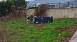 Köpekler tarafından parçalanmış erkek cesedi bulundu