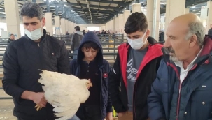 Köy tavuğu satışları patladı