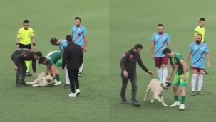 Nefes kesen mücadeleye ‘köpek’ molası