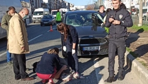 Otomobilin çarptığı yaşlı adam yaralandı