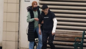 Pitbull kolunu kopartıyordu