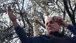 Sertaslan’dan Marmarabirlik’e fiyat güncellemesi çağrısı