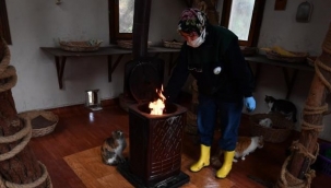 Sobalar engelli kediler için yandı
