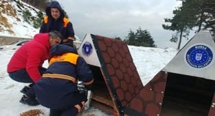 Sokak hayvanlarına Büyükşehir şefkati