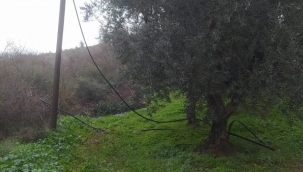 Telefon ve elektrik tellerini kesen hırsızlar jandarmaya yakalandı
