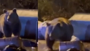 Uludağ'da korkutan anlar