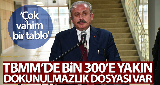 Şentop TBMM'deki dokunulmazlık dosyalarıyla ilgili sayı verdi