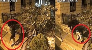Camideki hırsızlık güvenlik kameralarına yansıdı