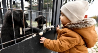 Can dostlara hem şifa, hem sıcak yuva