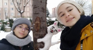 Karı, karı-koca yaptılar