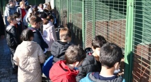 Miniklerden sokak hayvanlarına anlamlı destek