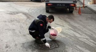 Osmangazi’de haşerelere karşı ilaçlama