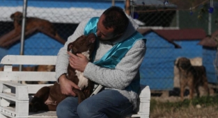 Sokağa bırakılan pitbullar ile dost oldu...