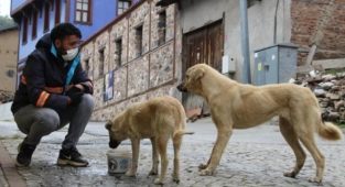 Sokak hayvanları için beslenme seferberliği