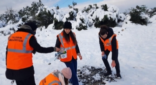BTÜ öğrencileri sokak hayvanlarını unutmadı