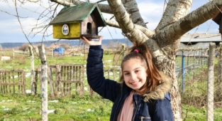 Hayvan dostu ilçe Mustafakemalpaşa